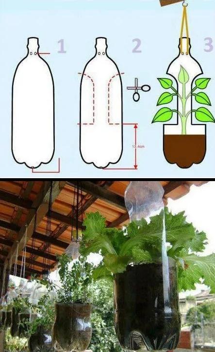 零成本 塑料瓶超级种菜大法 温室 补水 盆栽 沤肥一步到位