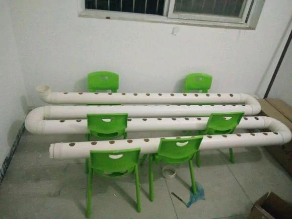 零成本 塑料瓶超级种菜大法 温室 补水 盆栽 沤肥一步到位
