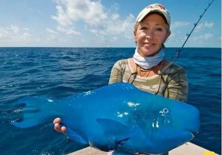 你没见过的32种奇特生物 绝对没见过!