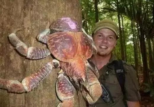你没见过的32种奇特生物 绝对没见过!