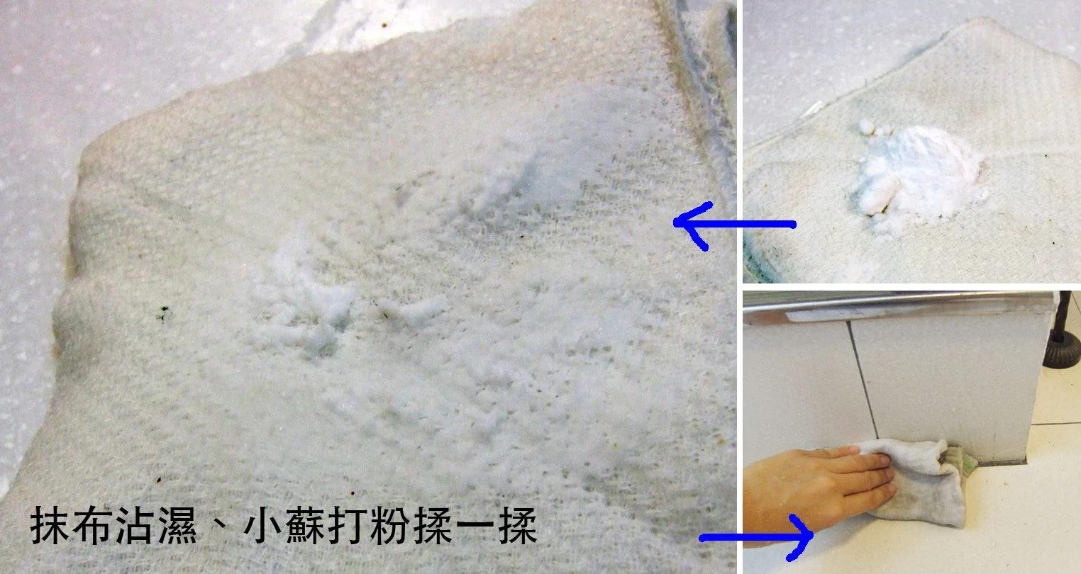 粉厉害!蚂蚁不来犯