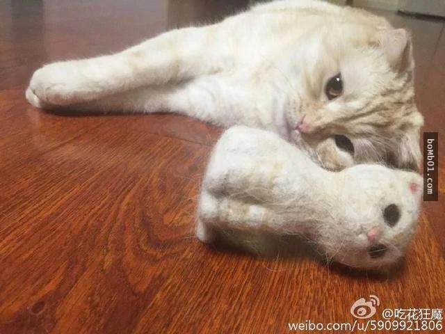 主人做出“猫毛毡娃娃” 结果猫咪看到后的惊呆表情让人笑疯了!