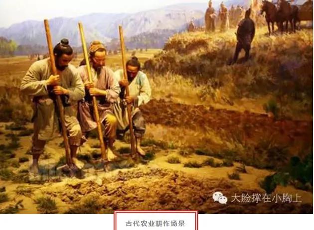 24节气成世界非物质文化遗产 是科学还是文化?