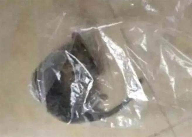 孝顺女买羽绒外套送老爸礼物 打开“礼物”后让老父吓昏