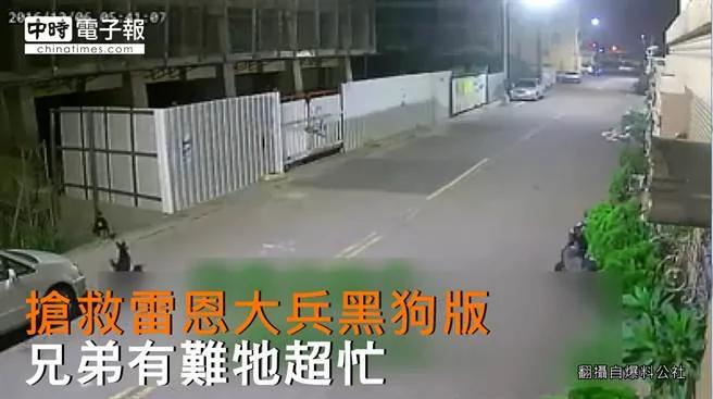患难见真情!兄弟有难 黑狗不离不弃义气讨救兵!