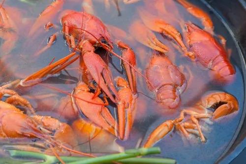 这5种食物易藏寄生虫!小心病从口入