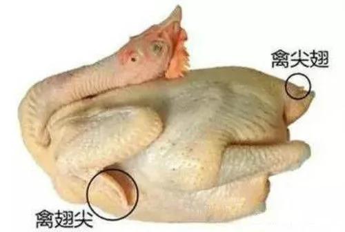 8种动物身上的这个部分 千万别乱吃!