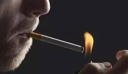 为什么德国人寿命越来越长?原来他们有这十大秘诀!