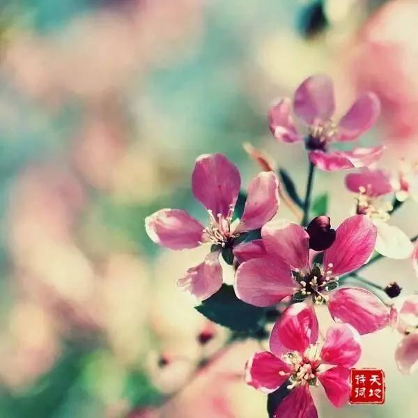 活得轻松 老得漂亮!
