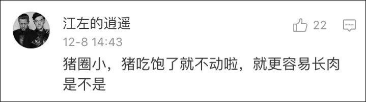这只晋代青瓷猪圈告诉我们:不运动就会长胖
