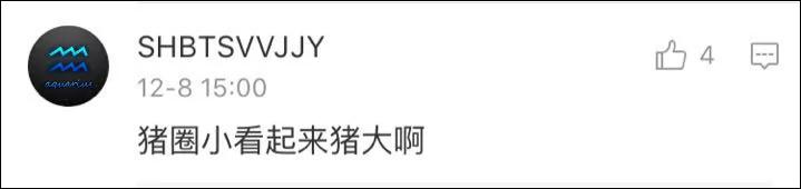 这只晋代青瓷猪圈告诉我们:不运动就会长胖