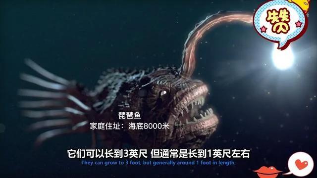 海底11095米频频发出神秘声波 谁住在地球最深处?