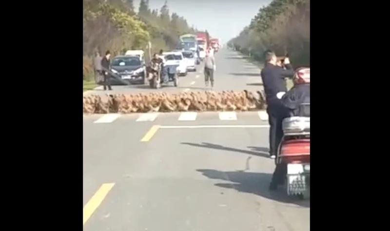 2万只“行军鸭”浩浩荡荡走斑马线的画面太震撼 让路人全都被牠们吓到了!