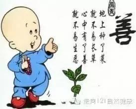 养生的最高境界就是:慈悲