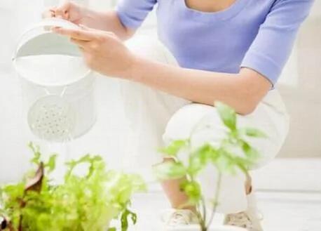 过期牛奶可以浇花吗?过期牛奶的用途有哪些?