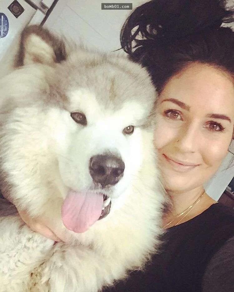 阿拉斯加雪橇犬主人“十八相送” 主人