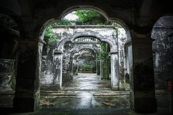 实拍:海南百年豪华古宅被榕树占领 成中国吴哥窟