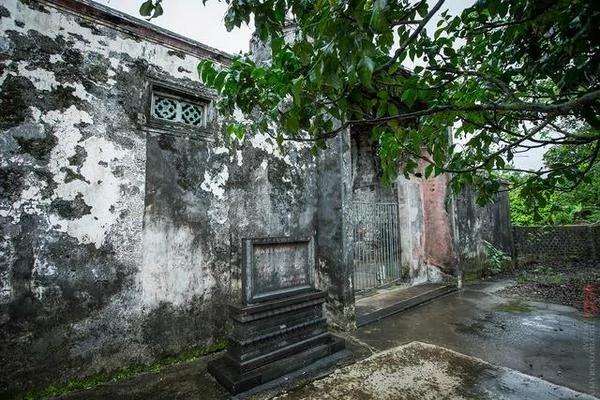 实拍:海南百年豪华古宅被榕树占领 成中国吴哥窟