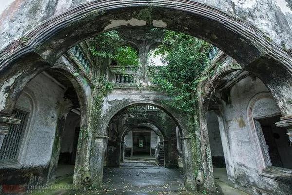 实拍:海南百年豪华古宅被榕树占领 成中国吴哥窟