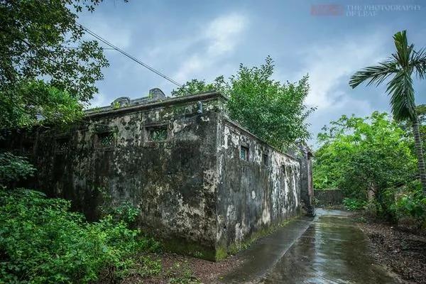 实拍:海南百年豪华古宅被榕树占领 成中国吴哥窟
