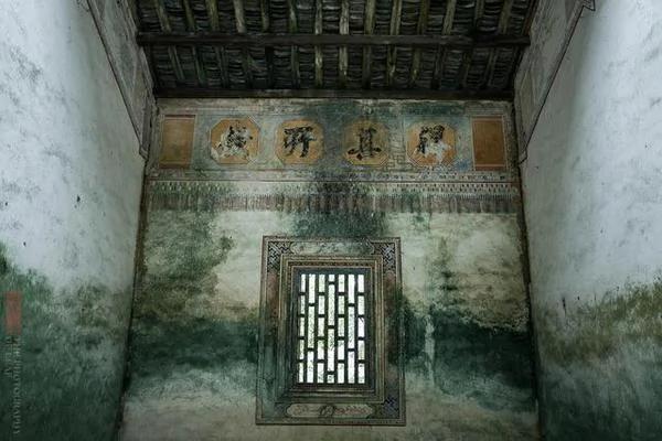 实拍:海南百年豪华古宅被榕树占领 成中国吴哥窟