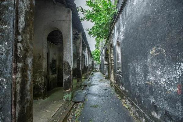 实拍:海南百年豪华古宅被榕树占领 成中国吴哥窟