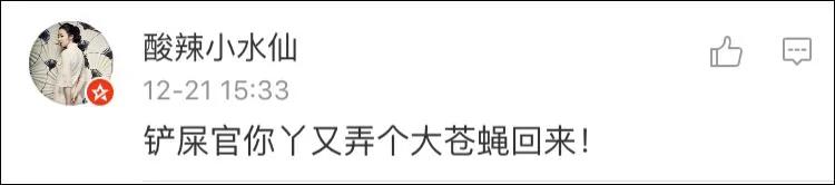无人机拍摄雪地老虎 老虎好奇心满满一路追逐