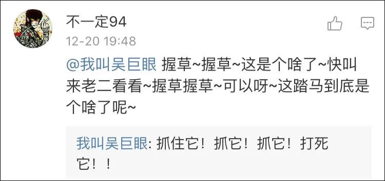 无人机拍摄雪地老虎 老虎好奇心满满一路追逐