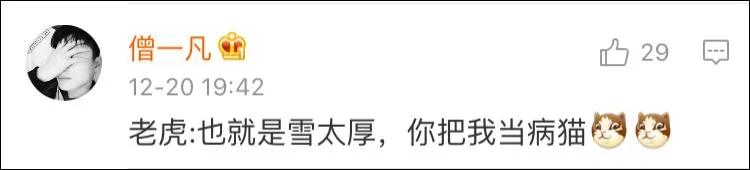 无人机拍摄雪地老虎 老虎好奇心满满一路追逐