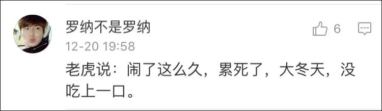 无人机拍摄雪地老虎 老虎好奇心满满一路追逐
