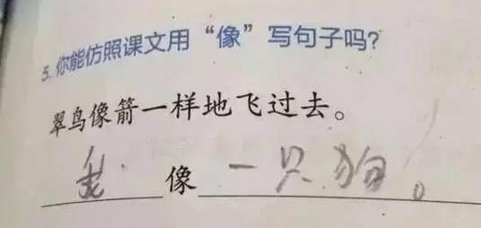 小学生变段子手了 实在有才 老师都气懵了!