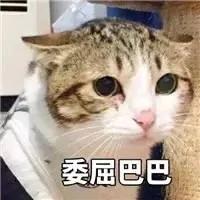 全球最委屈巴巴的国家新西兰:被忘放世界地图了