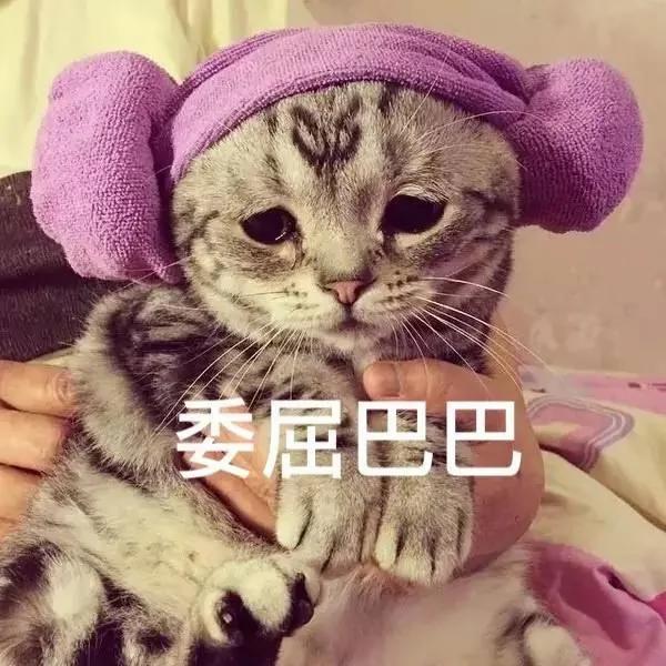 全球最委屈巴巴的国家新西兰:被忘放世界地图了