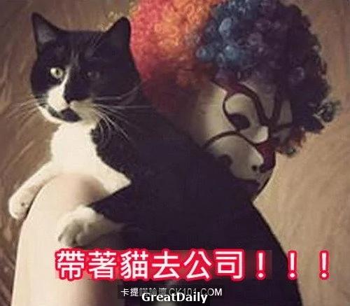 心血来潮用猫指纹做手机解锁结果… 网友:从头笑到尾