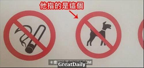 心血来潮用猫指纹做手机解锁结果… 网友:从头笑到尾