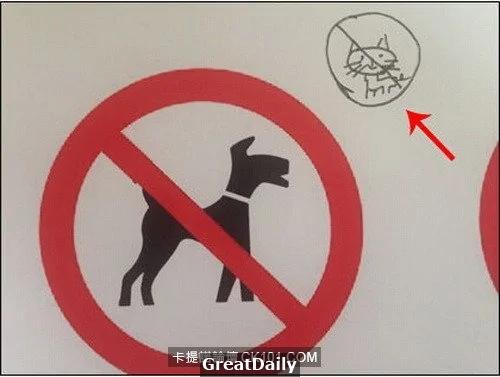 心血来潮用猫指纹做手机解锁结果… 网友:从头笑到尾