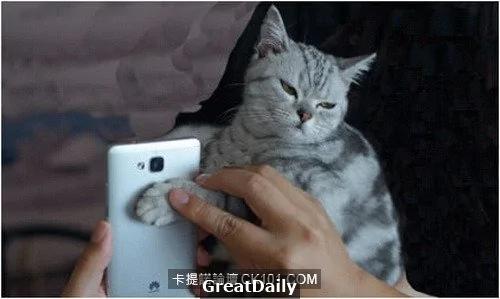 心血来潮用猫指纹做手机解锁结果… 网友:从头笑到尾