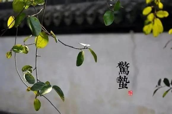 24个节气的养生重点都在这里 值得人手一份
