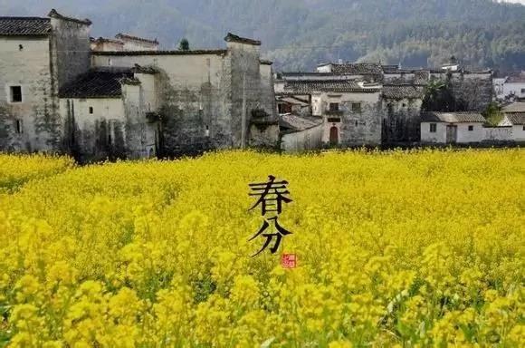 24个节气的养生重点都在这里 值得人手一份