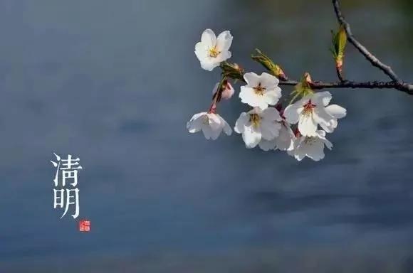 24个节气的养生重点都在这里 值得人手一份
