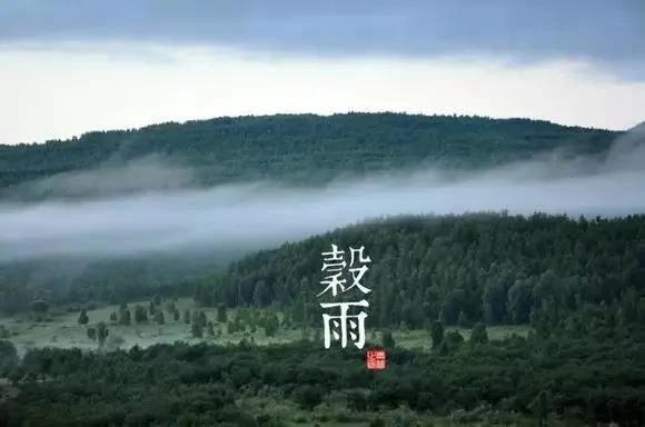 24个节气的养生重点都在这里 值得人手一份