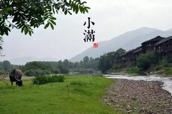 24个节气的养生重点都在这里 值得人手一份