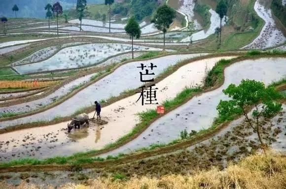 24个节气的养生重点都在这里 值得人手一份