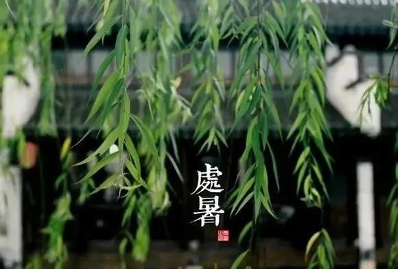 24个节气的养生重点都在这里 值得人手一份
