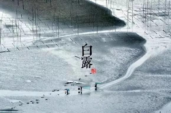 24个节气的养生重点都在这里 值得人手一份
