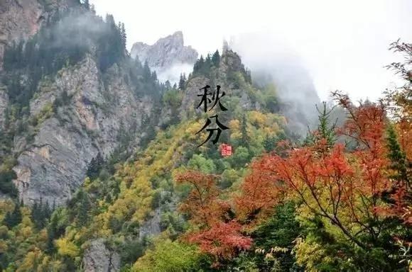 24个节气的养生重点都在这里 值得人手一份