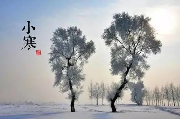 24个节气的养生重点都在这里 值得人手一份