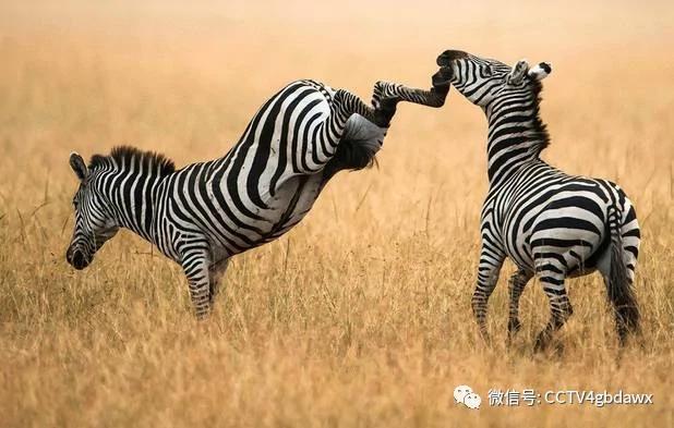 你整天挂嘴边 却不会写的15个字