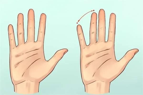 不用观察掌纹了!科学家教你“如何从一个人的手型看出个性”