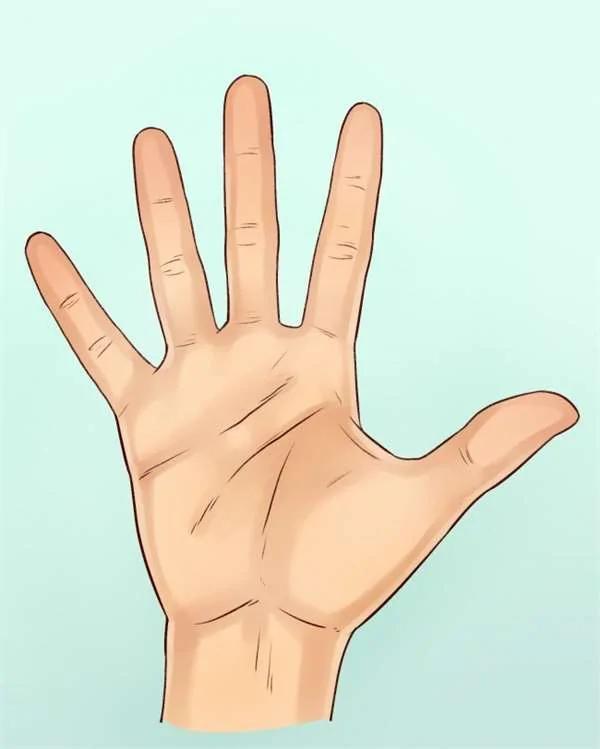 不用观察掌纹了!科学家教你“如何从一个人的手型看出个性”